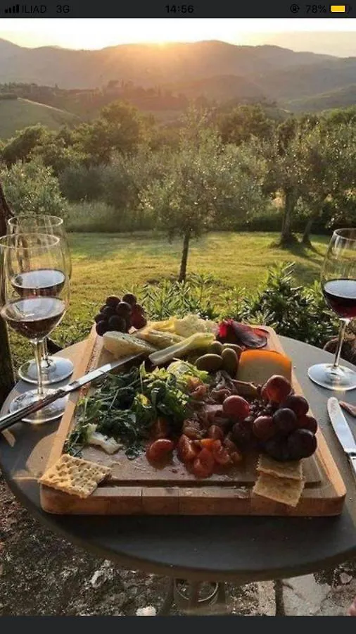 Mare Toscano Apartment Riparbella