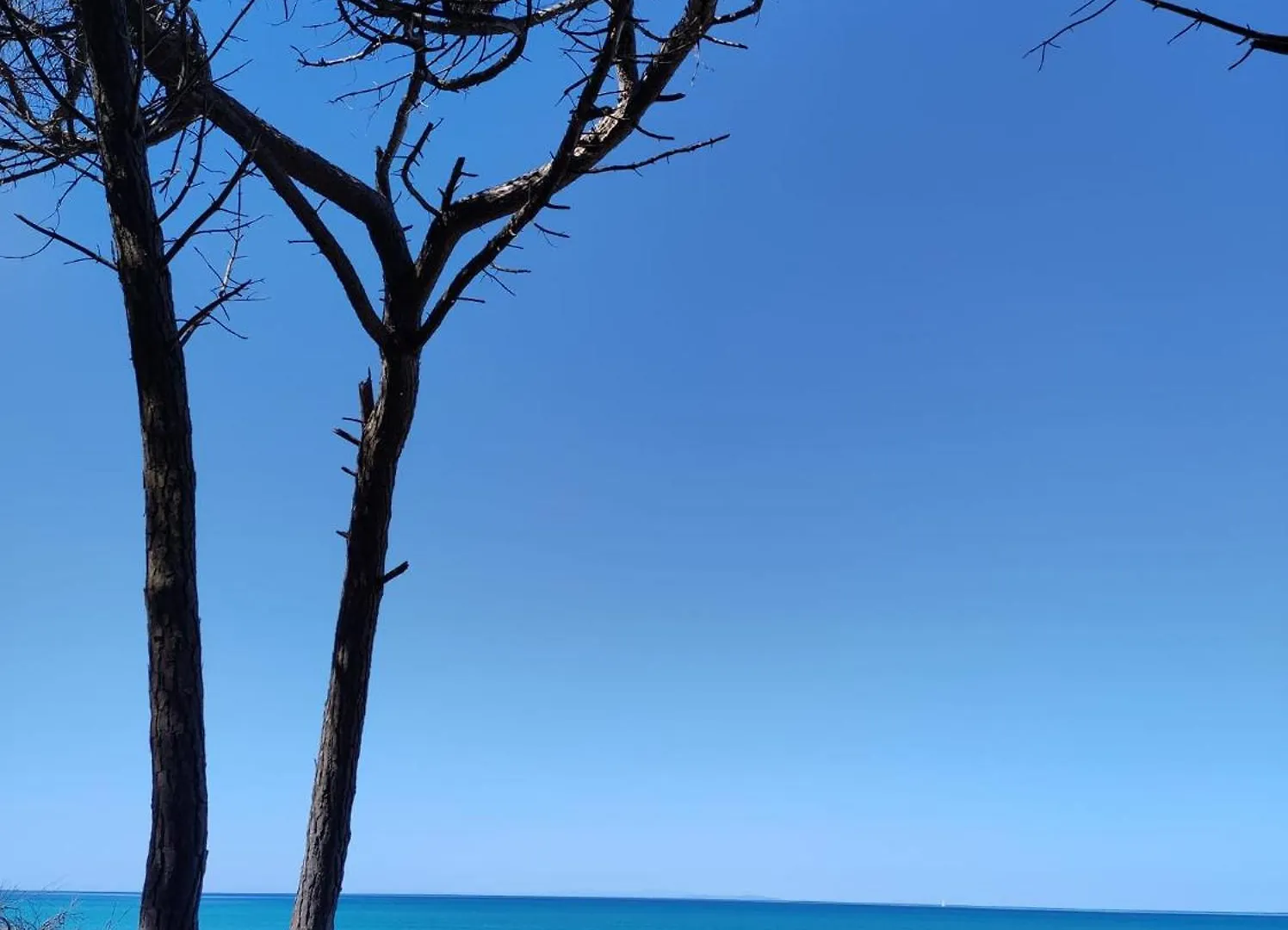 Mare Toscano Apartment Riparbella